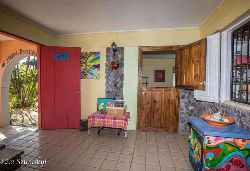 اتاق استاندارد با چشمانداز باغ, Veranda View Guesthouse