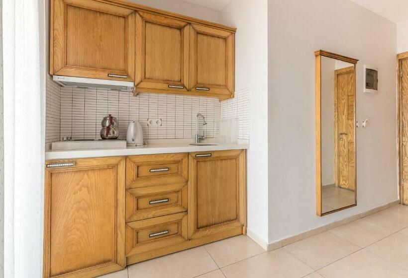 Апартаменты 1 Спальня Вид на Море, Veziroğlu Apart