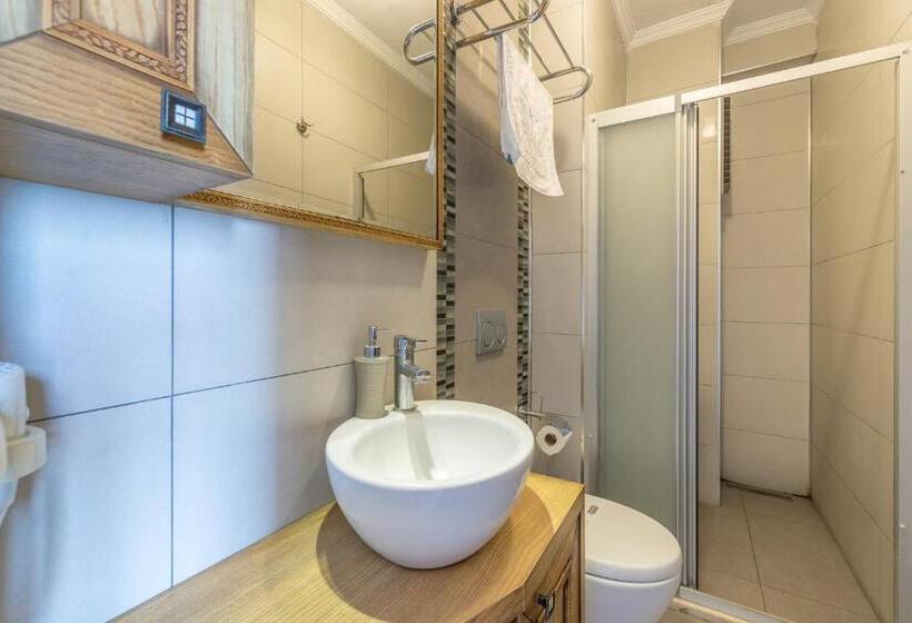 Апартаменты 1 Спальня Вид на Море, Veziroğlu Apart