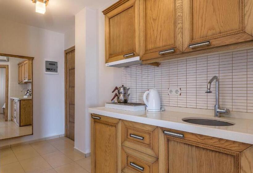 Апартаменты 1 Спальня Вид на Море, Veziroğlu Apart