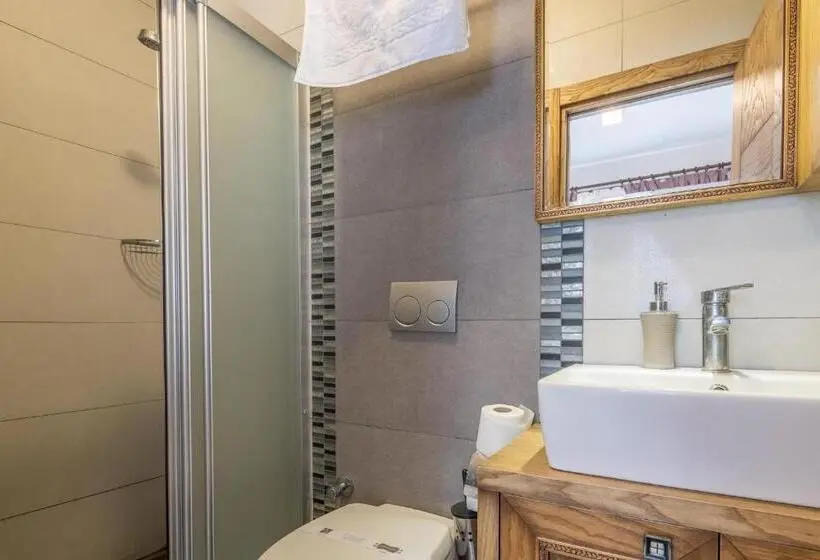 Cameră Standard cu Priveliște către Oraș, Veziroğlu Apart