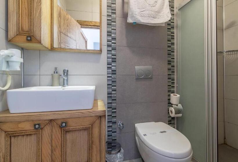 Номер Стандарт Вид на Город, Veziroğlu Apart