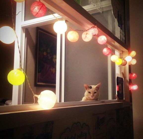 ガーデンビュースタンダードルーム, Thorfun Guesthouse In The Garden