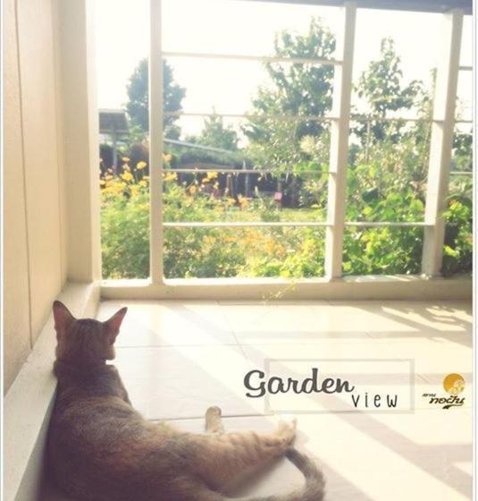 ガーデンビュースタンダードルーム, Thorfun Guesthouse In The Garden