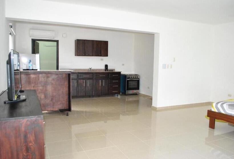 آپارتمان 1 خوابه با چشم‌انداز دریا, Vue Apartment