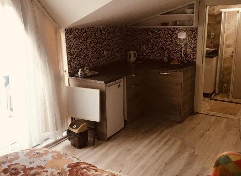 Apartament Deluxe 1 Dormitori, Karaagac Green Edirne