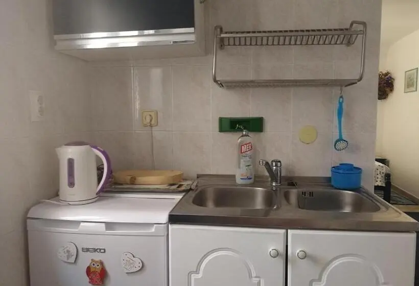 استودیو استاندارد با تخت کینگ, Guesthouse Bogdanovic