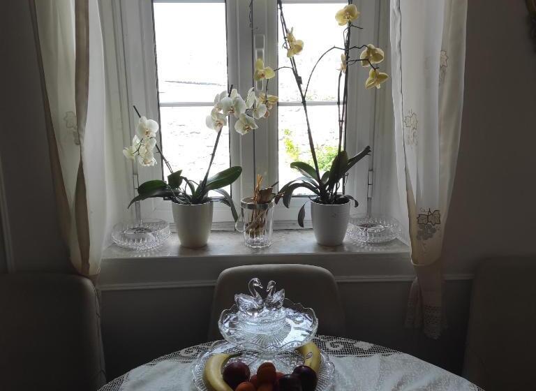 آپارتمان 1 خوابه با چشمانداز دریا, Guesthouse Bogdanovic