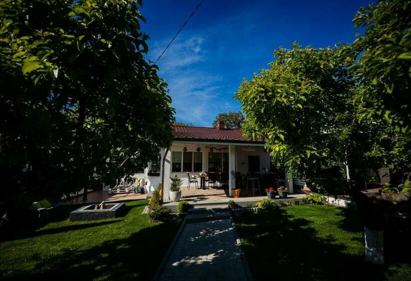 إستوديو قياسى مزودة بتراس, Nb Boutique