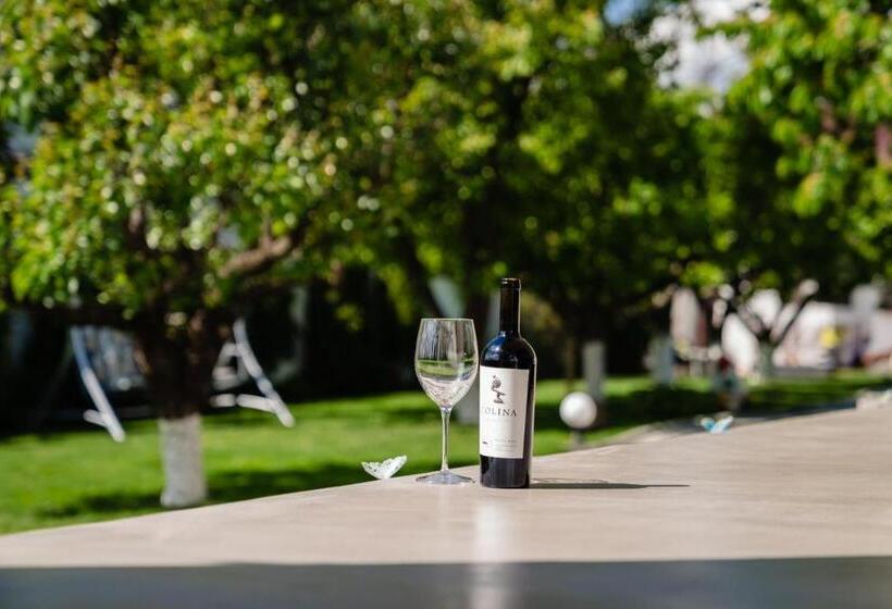 إستوديو قياسى مزودة بتراس, Nb Boutique