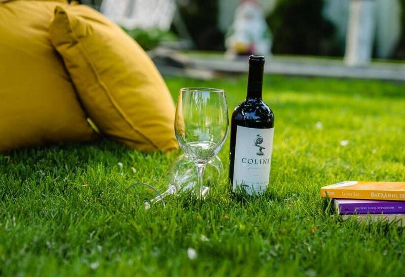 إستوديو قياسى مزودة بتراس, Nb Boutique