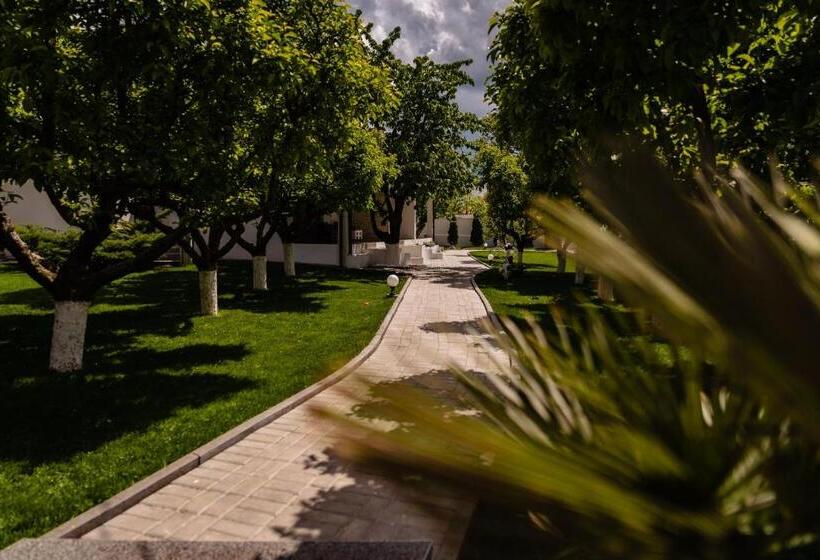 إستوديو قياسى مزودة بتراس, Nb Boutique