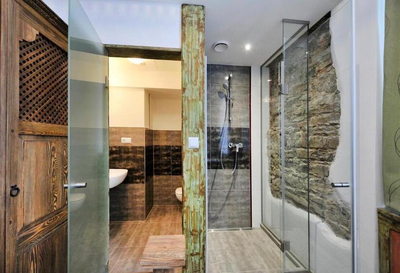 اتاق استاندارد یک نفره, Vila U Septima