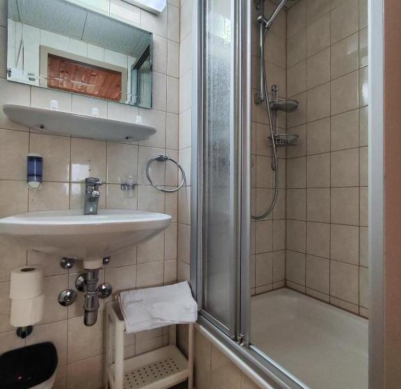 Четырехместный Номер Economy, Gasthaus Mitterjager