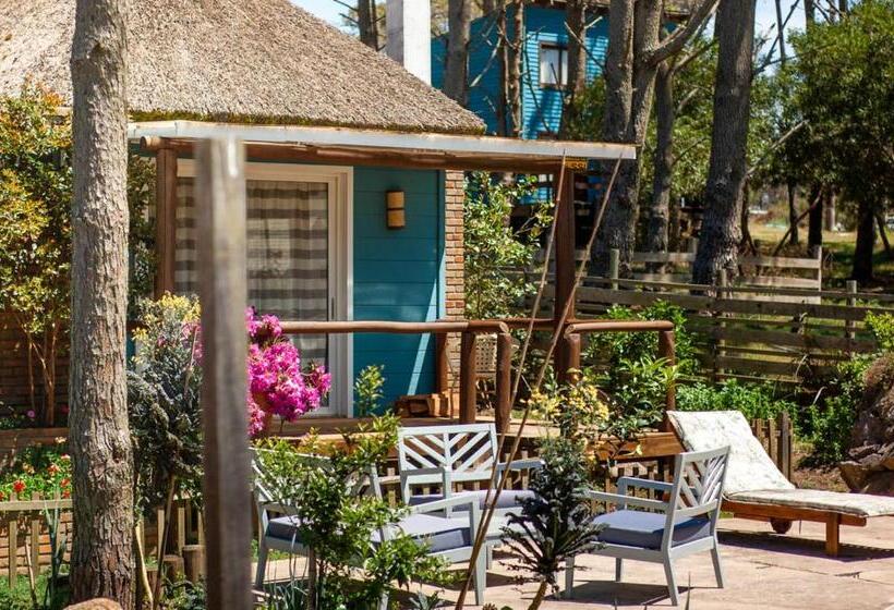 자쿠지 스위트, Il Tano Suites