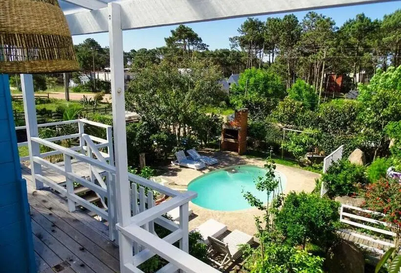 スイート, Il Tano Suites