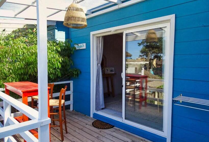 스위트, Il Tano Suites