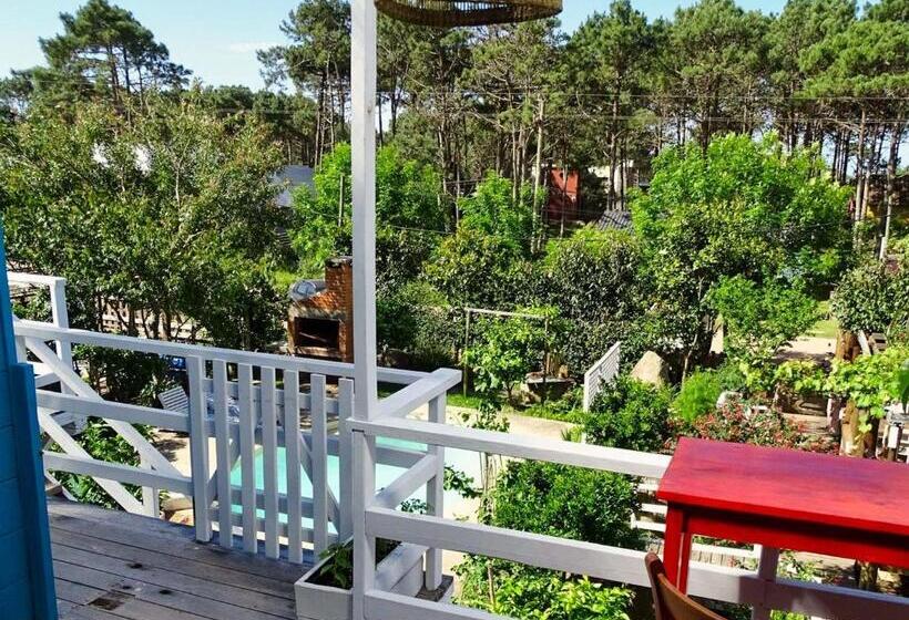 스위트, Il Tano Suites