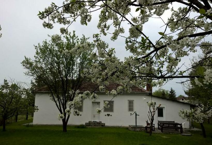 آپارتمان 2 خوابه, Casa Bella & Nova