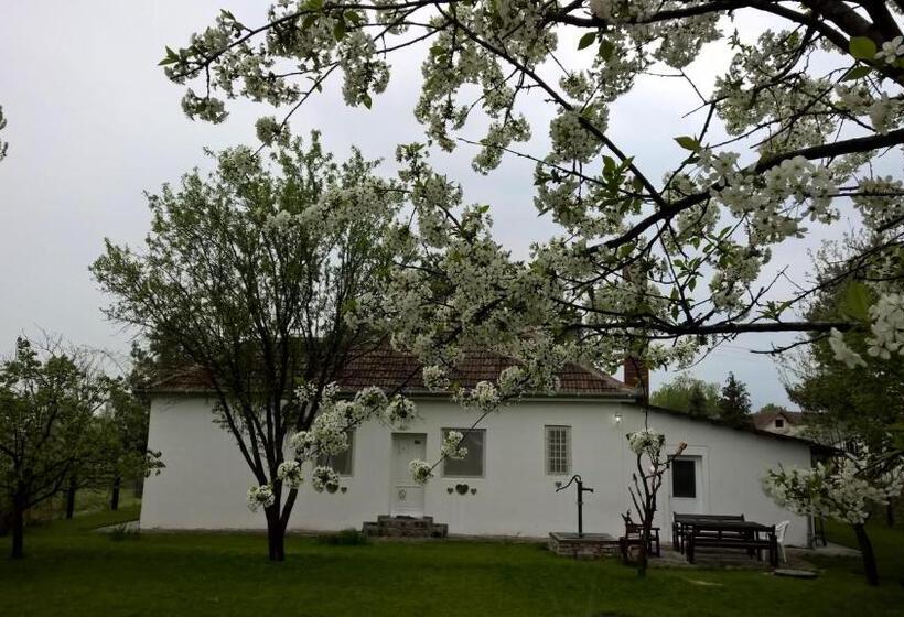 خانه 3 خوابه, Casa Bella & Nova