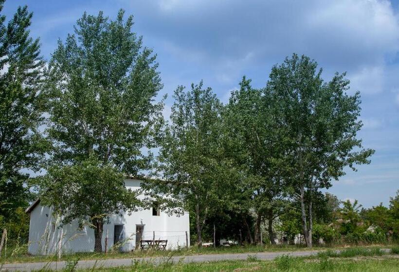 اتاق لوکس, Casa Bella & Nova