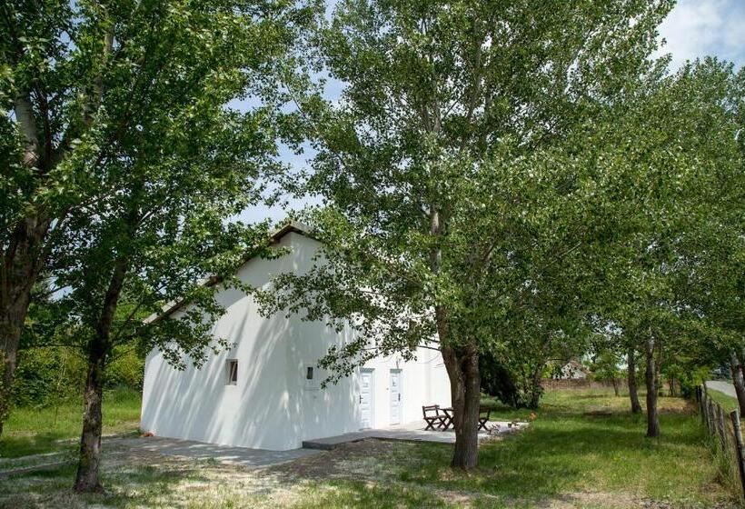 اتاق لوکس, Casa Bella & Nova