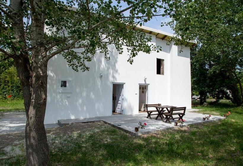 اتاق لوکس, Casa Bella & Nova