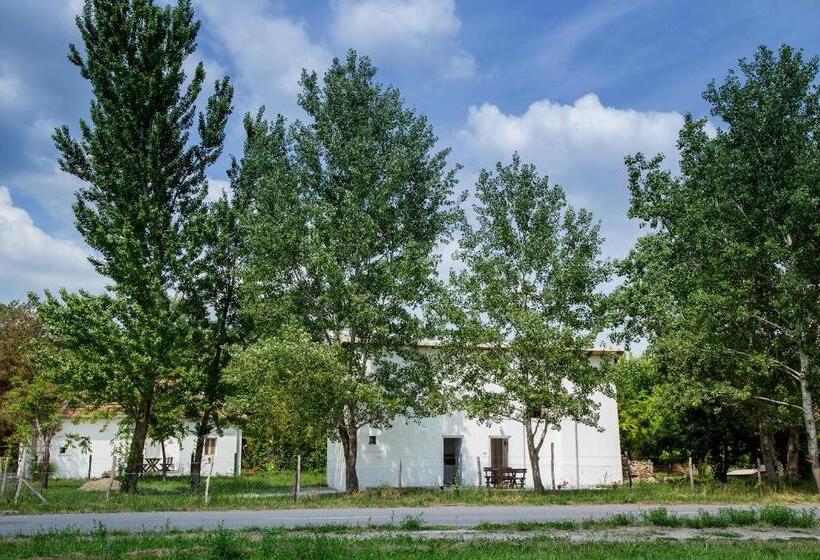 1 Bedroom Apartment Lake View, Casa Bella & Nova