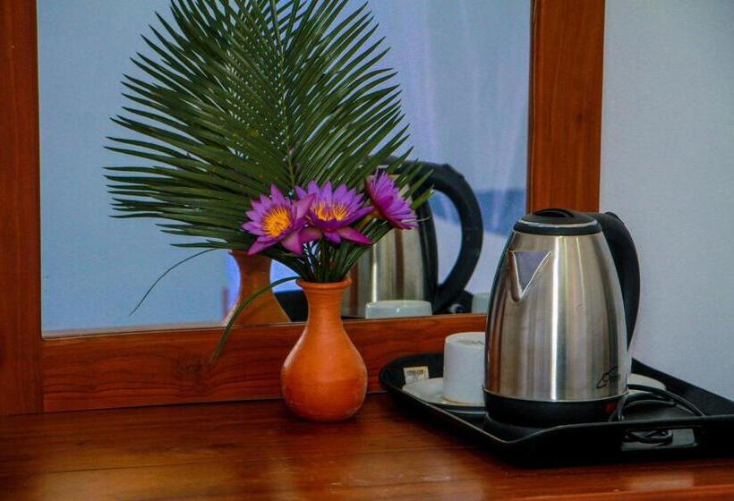 Номер Deluxe с Балконом, Darshani Lodge