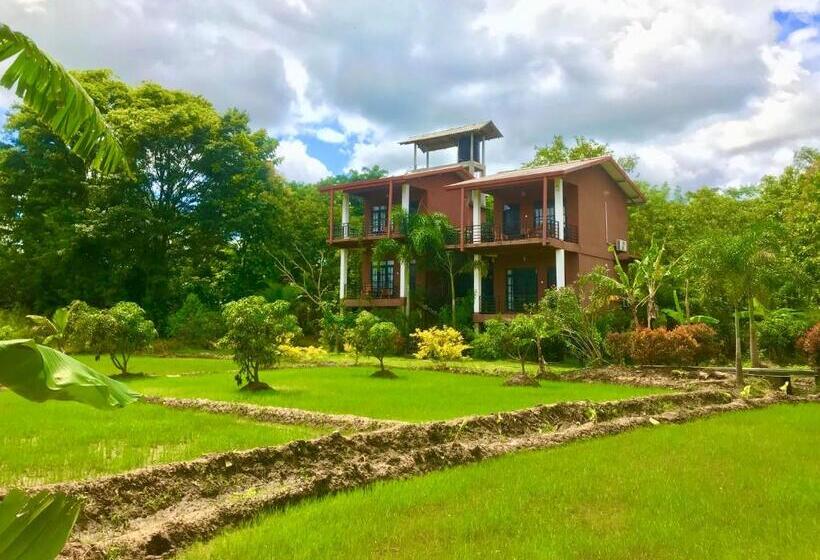 Номер Deluxe с Видом, Darshani Lodge
