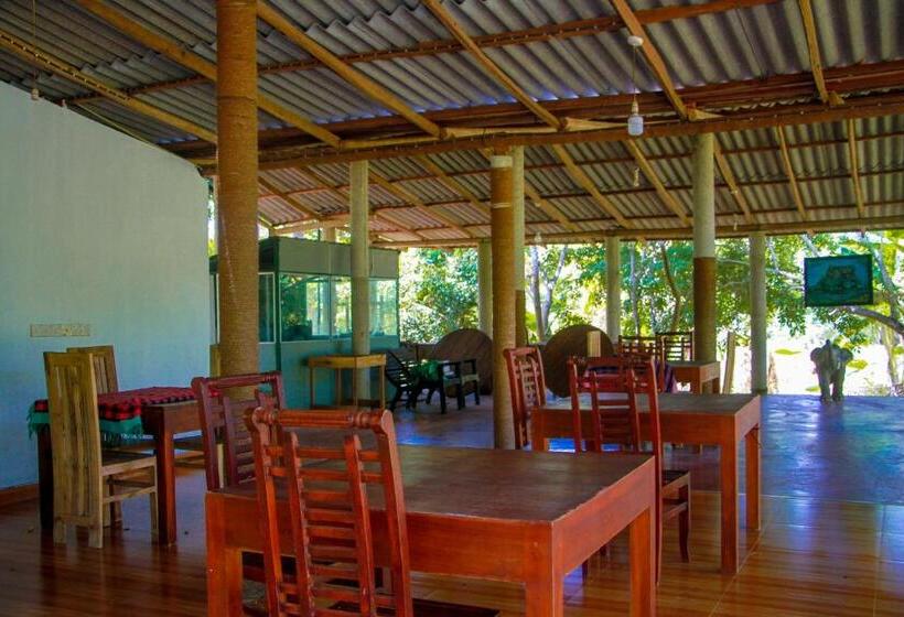 Семейный Номер Вид на Горы, Darshani Lodge
