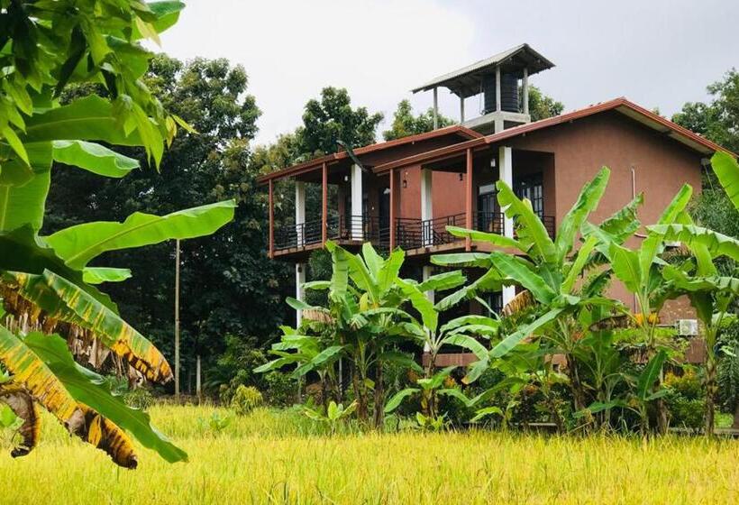 Номер Стандарт Трехместный, Darshani Lodge