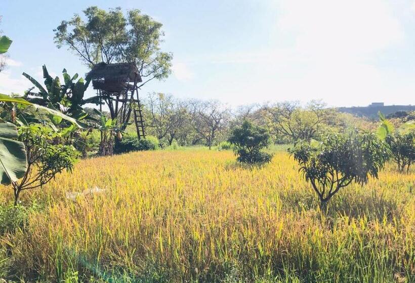 テラス付きスタンダードルーム, Darshani Lodge