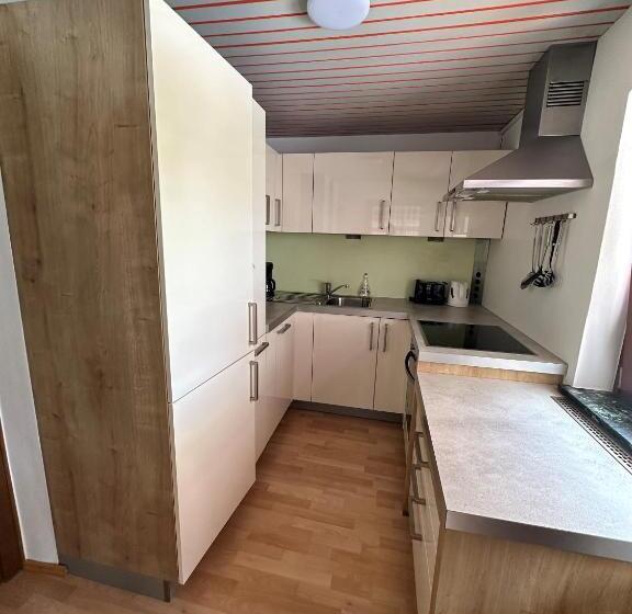 آپارتمان 1 خوابه با تراس, Pension Monika, Your B&b In Kaprun