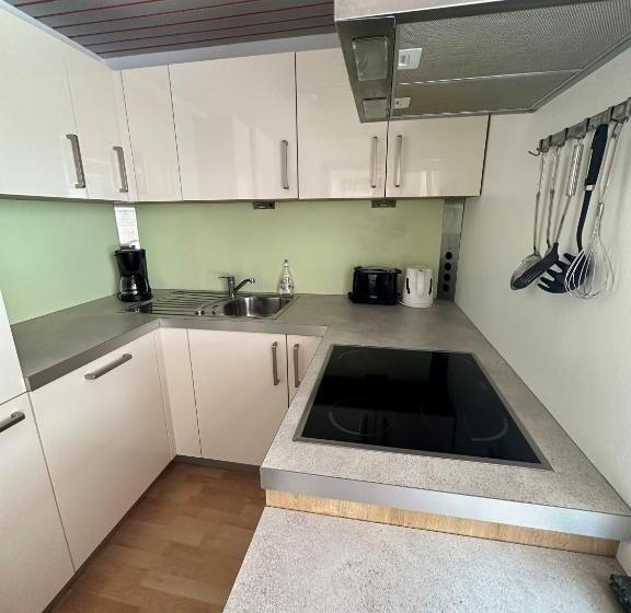 آپارتمان 1 خوابه با تراس, Pension Monika, Your B&b In Kaprun