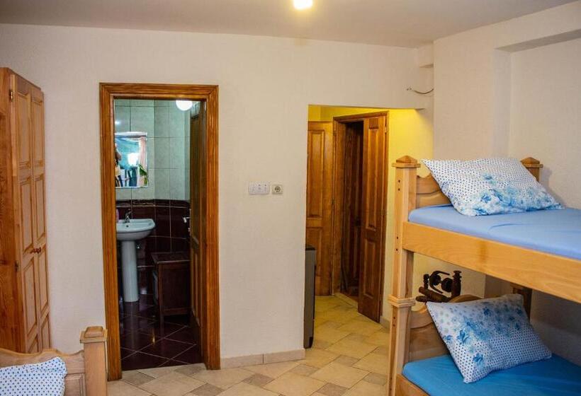 استودیوی استاندارد, Guest House šljuka