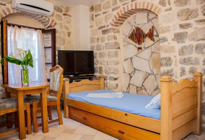 استودیوی استاندارد, Guest House šljuka