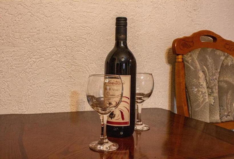 استودیو استاندارد با تخت کینگ, Guest House šljuka