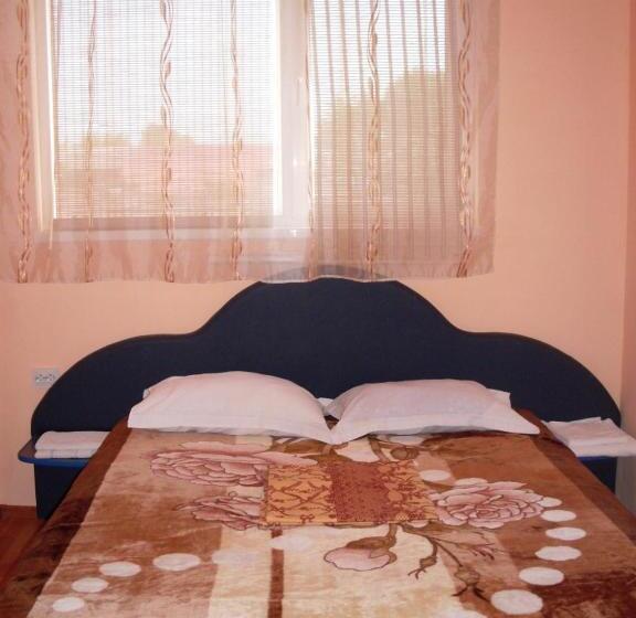 Номер Стандарт, Pensiunea Nicol Tulcea