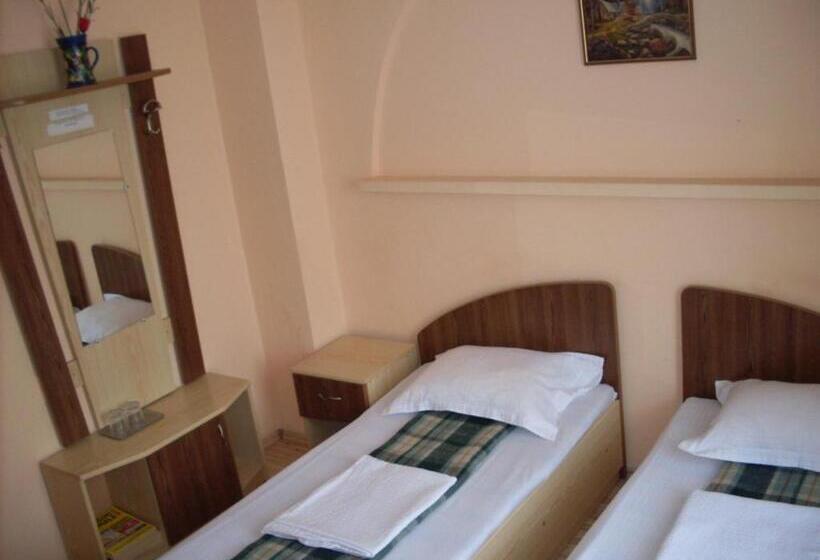Номер Стандарт Трехместный, Pensiunea Nicol Tulcea