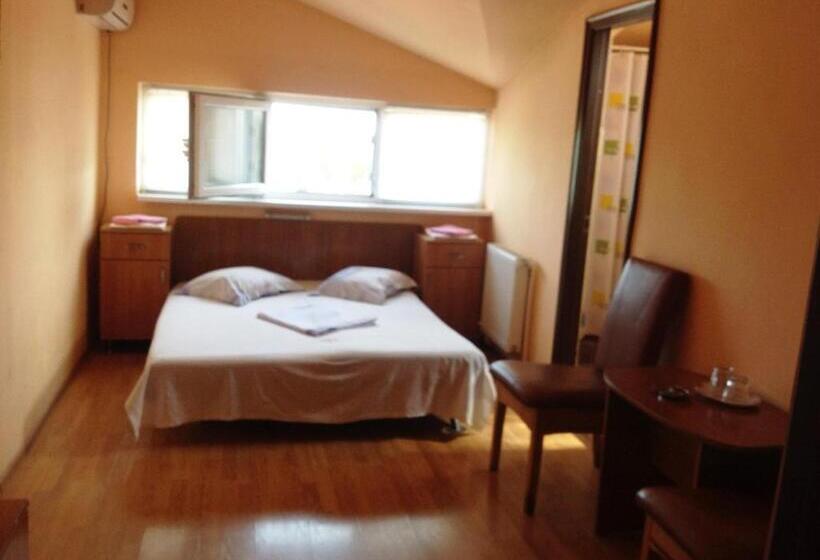 Номер Superior, Pensiunea Nicol Tulcea