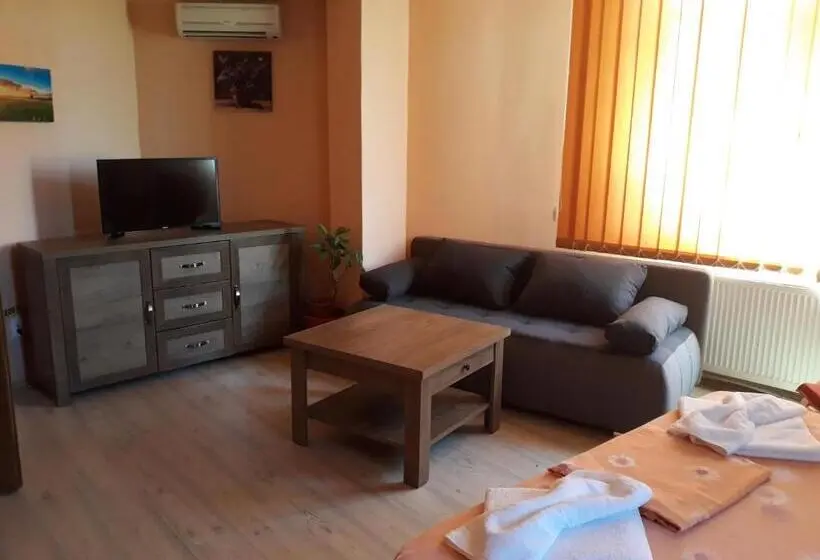 اتاق سوپریور, Pensiunea Nicol Tulcea