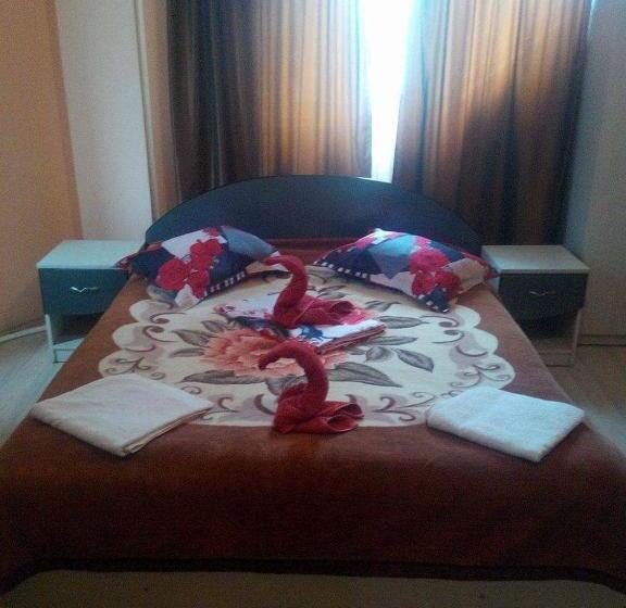 Номер Стандарт, Pensiunea Nicol Tulcea