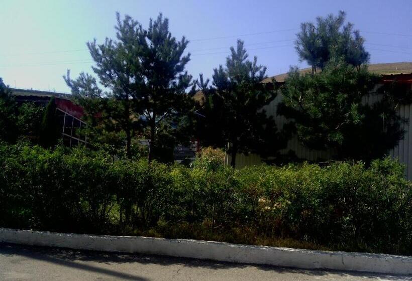 اتاق استاندارد, Nirvana