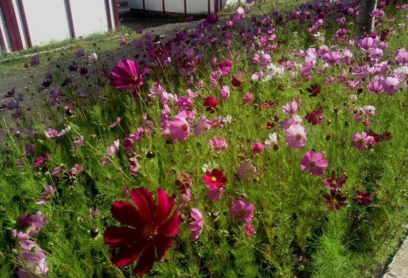 خانه 2 خوابه, Nirvana