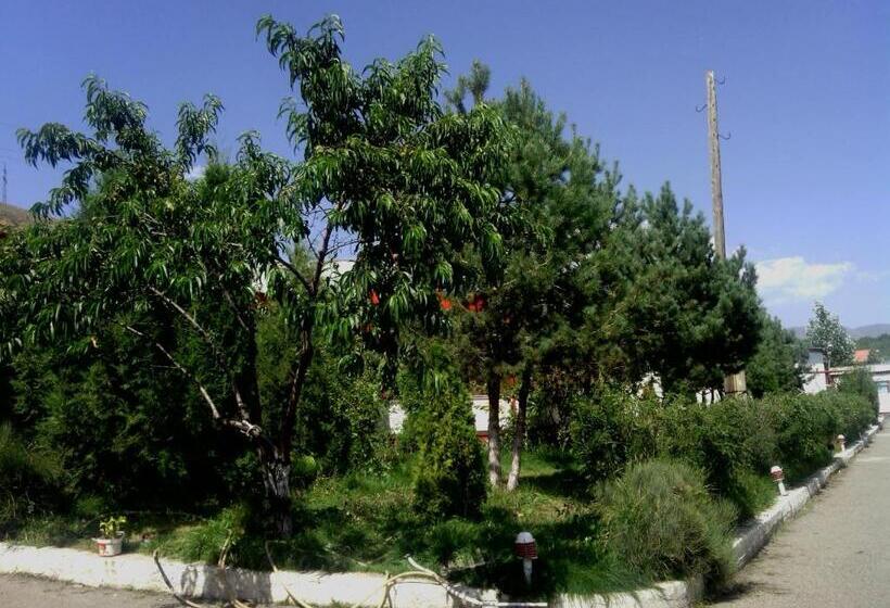 خانه 2 خوابه, Nirvana