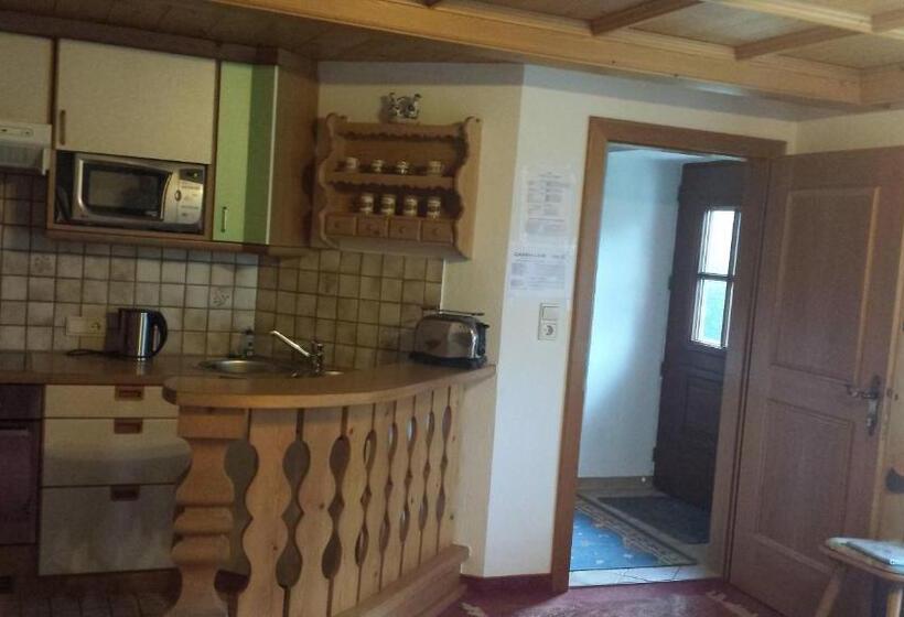 Апартаменты 1 Спальня Нижний Этаж, Haus Am Sonnenhang
