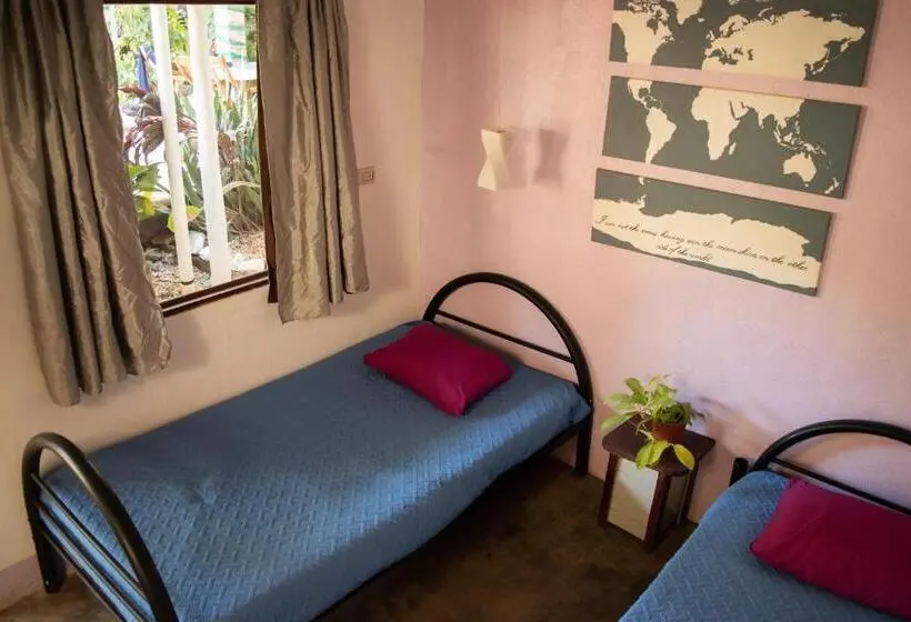 スタンダードルーム, Hostel La Botella De Leche   Tamarindo