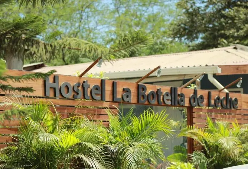 ファミリールーム, Hostel La Botella De Leche   Tamarindo