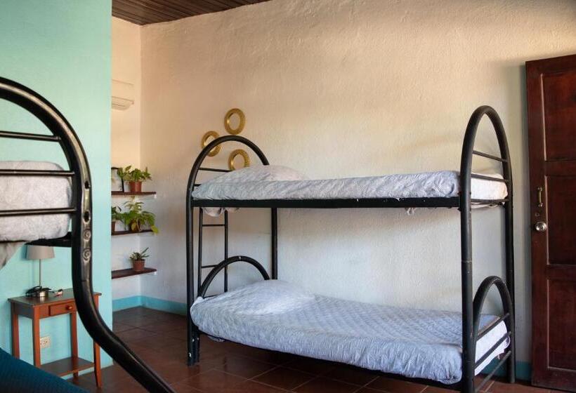 اتاق خانوادگی, Hostel La Botella De Leche   Tamarindo